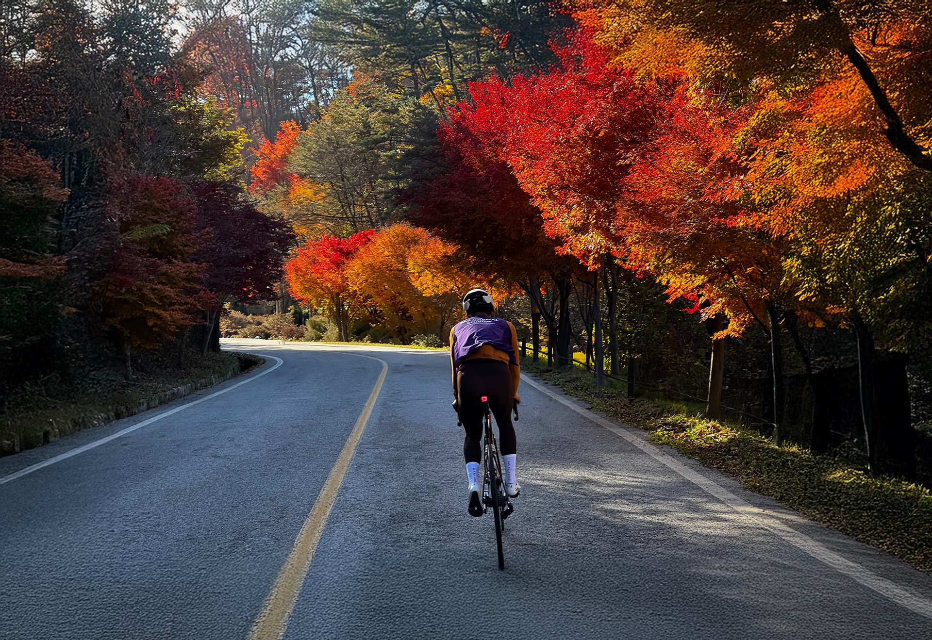 지리산 지안재 가을 단풍