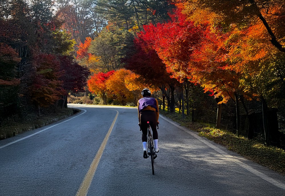 멋진 경치와 함께한 즐거운 라이딩